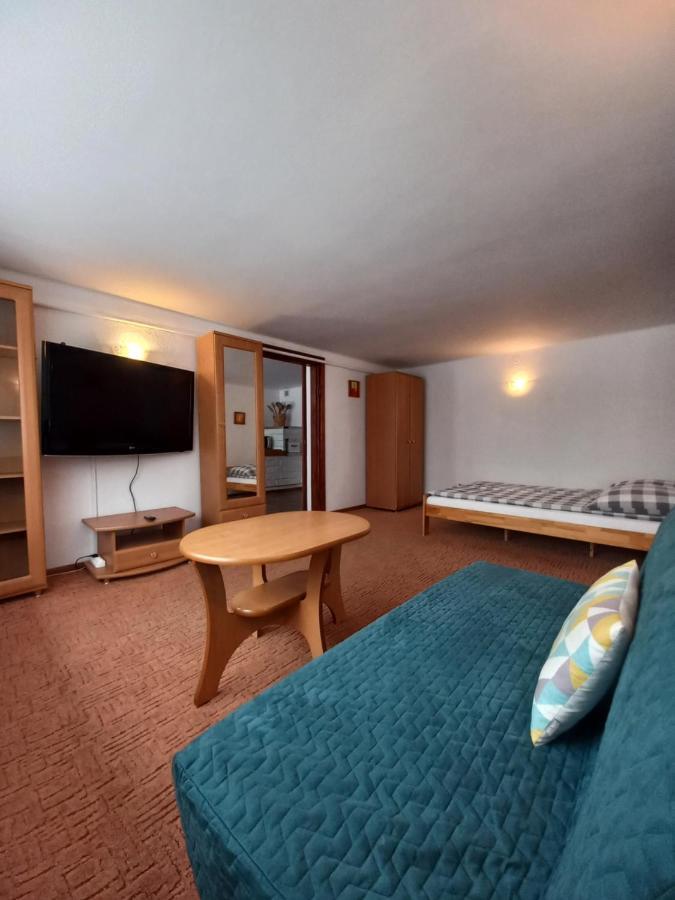 U Tylki Studio Z Widokiem Na Gory Zakopane Exteriér fotografie