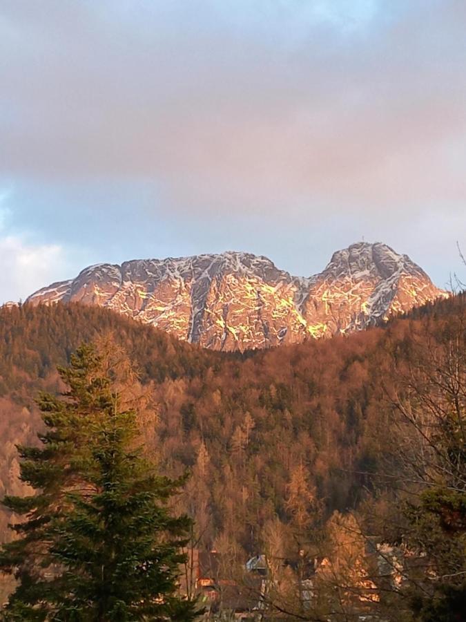 U Tylki Studio Z Widokiem Na Gory Zakopane Exteriér fotografie