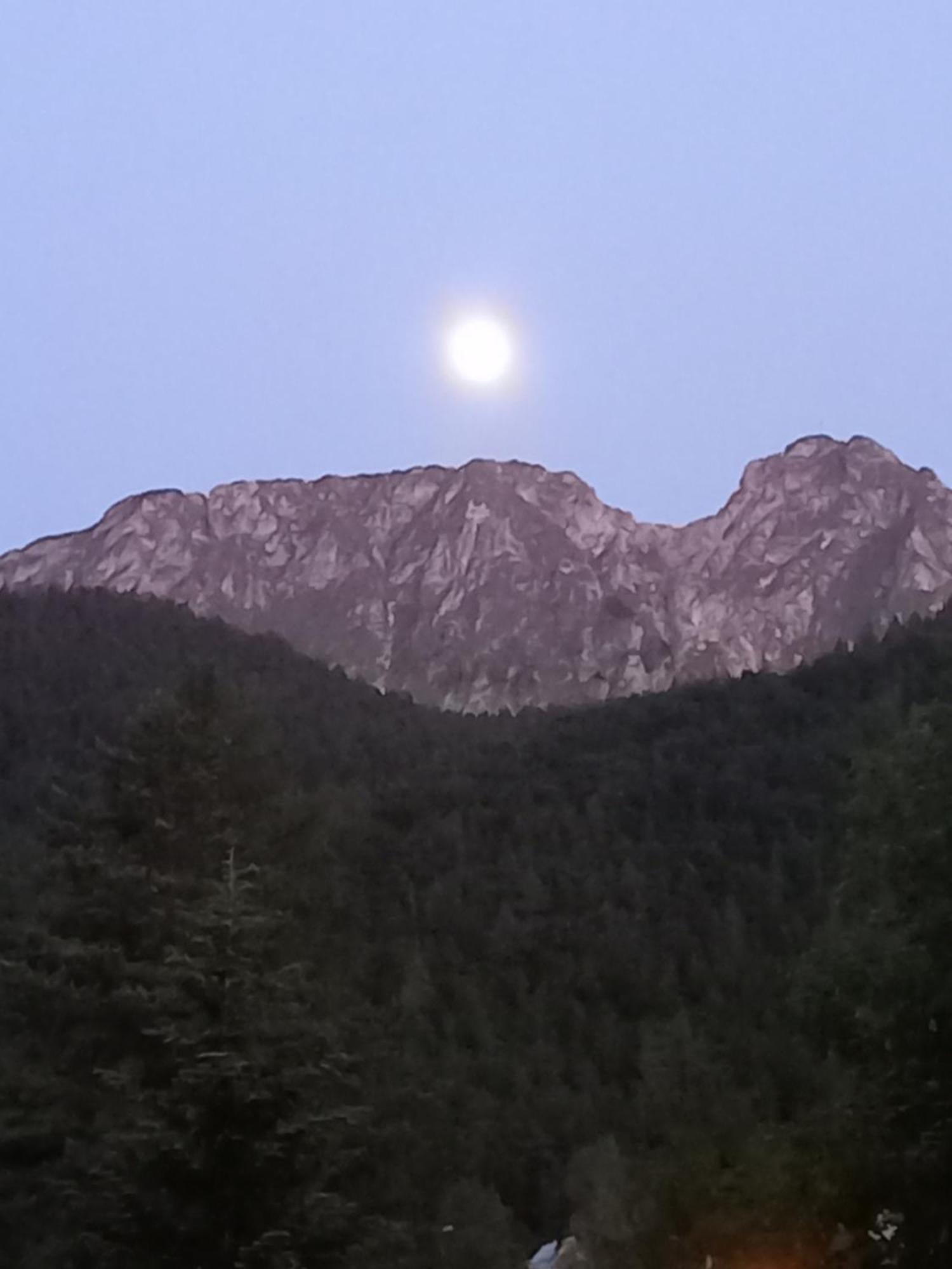 U Tylki Studio Z Widokiem Na Gory Zakopane Exteriér fotografie
