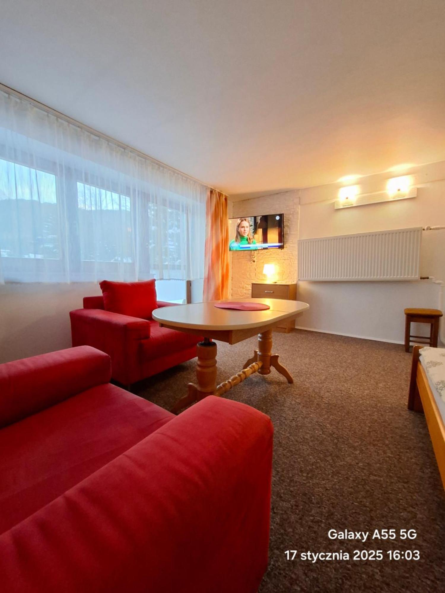 U Tylki Studio Z Widokiem Na Gory Zakopane Exteriér fotografie